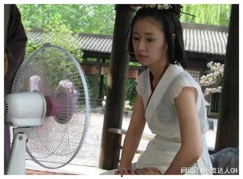 明星网红切片,揭秘网络红人的魅力瞬间