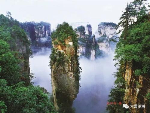 张家界吃瓜爆料新闻视频