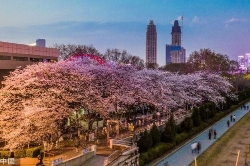 抖音最新吃瓜爆料入口在哪,一键掌握热门资讯！”