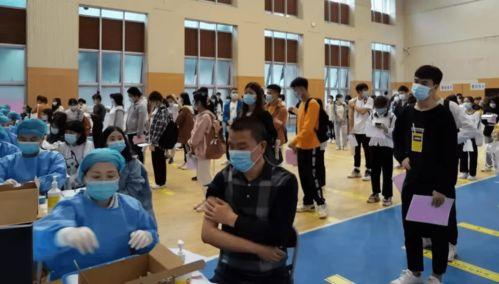 任县吃瓜爆料最新消息,最新热点事件揭秘