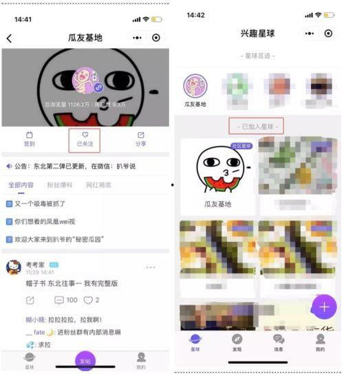 吃瓜爆料小程序是什么,网络舆论的“风向标”