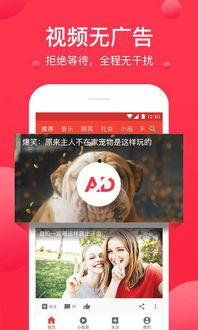 吃瓜爆料封面素材视频下载,封面素材视频背后的故事