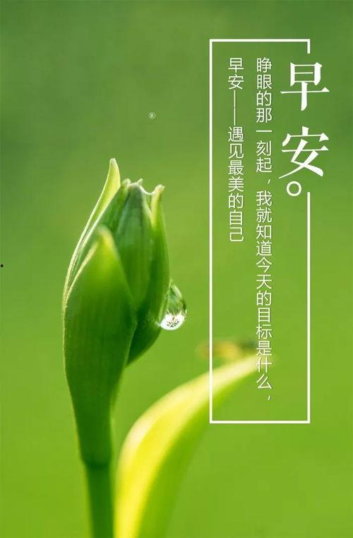 今日吃瓜爆料正能量图片高清