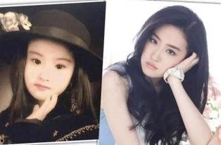 明星网红版权,如何守护个人品牌价值