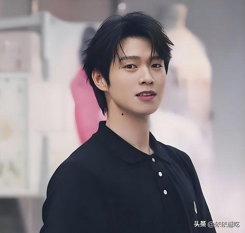 明星网红东北,魅力四溢，人气爆棚