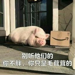 娱乐吃瓜酱猪猪视频下载,揭秘热门娱乐内容获取新方式